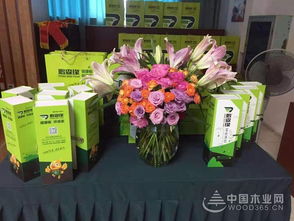 共謀發展，鵬森緣柳州客戶交談會盛大舉行，禮品花卉銷售迎春綻放